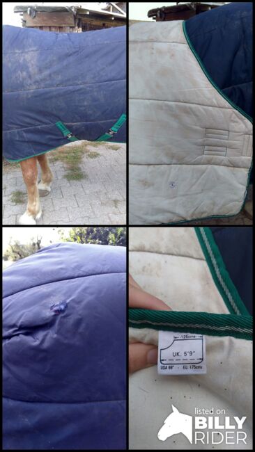 Winterdecke, 300g, 125cm, Christina Fuchs, Horse Blankets, Sheets & Coolers, Maroldsweisach, Image 5