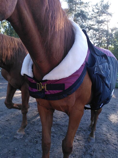 Pferde Outdoor Winterdecke/Führanlagendecke/NEU, Abbie L., Horse Blankets, Sheets & Coolers, Walzbachtal, Image 11