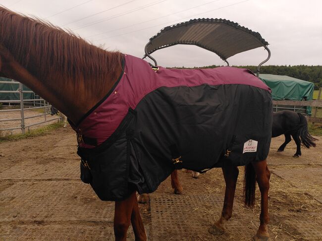Pferde Outdoor Winterdecke/Führanlagendecke/NEU, Abbie L., Horse Blankets, Sheets & Coolers, Walzbachtal, Image 3