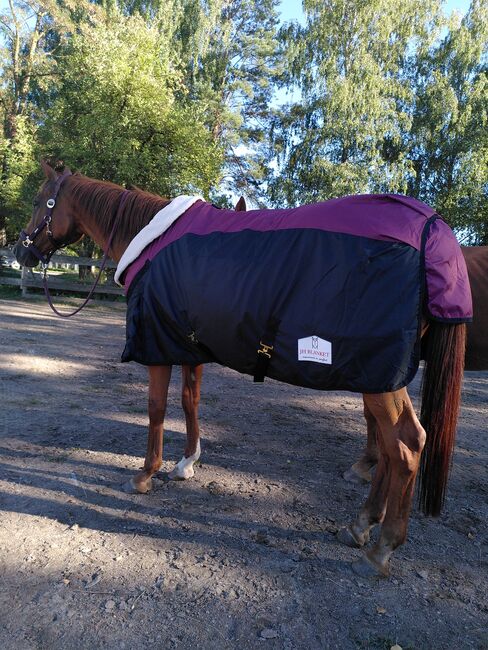 Pferde Outdoor Winterdecke/Führanlagendecke/NEU, Abbie L., Horse Blankets, Sheets & Coolers, Walzbachtal, Image 13