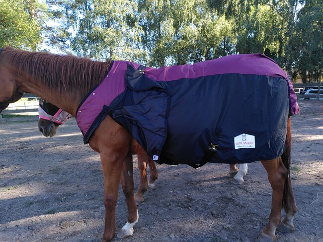 Pferde Outdoor Winterdecke/Führanlagendecke/NEU, Abbie L., Horse Blankets, Sheets & Coolers, Walzbachtal, Image 12