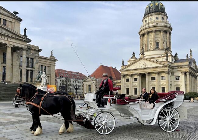 Vis a Vis Kutsche / Sonderanfertigung, Nancy Riesch, Carriages, Werneuchen