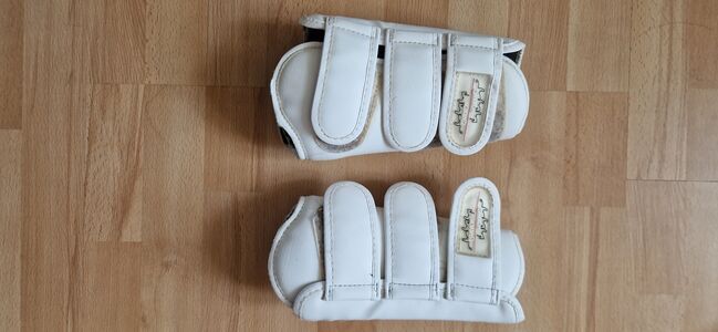 weiße Eskadron Gamaschen vorne und hinten, Warmblut, Eskadron, Manuela Morawietz, Tendon Boots, Pulheim