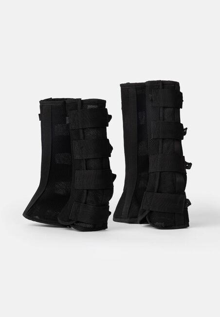 Fliegengamaschen, Horze Fly Socks , Sarah, Tendon Boots, Deizisau 