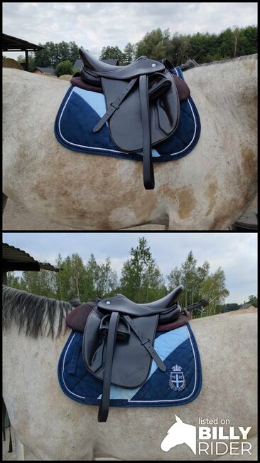 Butterfly Michael Putz, Butterfly Michael Putz, Anna, All Purpose Saddle, Kraków, Image 3