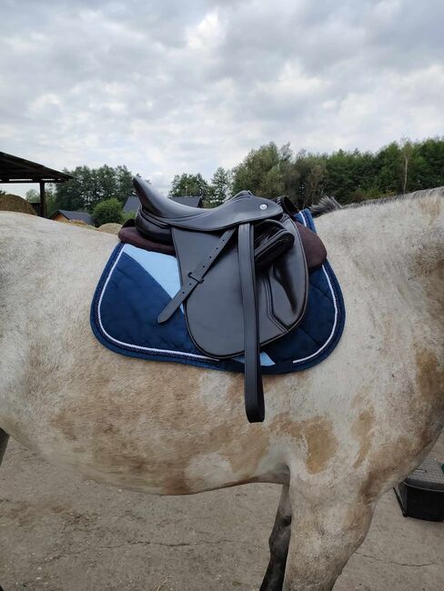Butterfly Michael Putz, Butterfly Michael Putz, Anna, All Purpose Saddle, Kraków