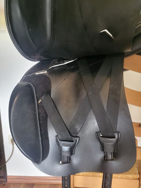 Butterfly Sophie 18", Butterfly Sophie, Denise Ellers, All Purpose Saddle, Ascheberg, Image 11
