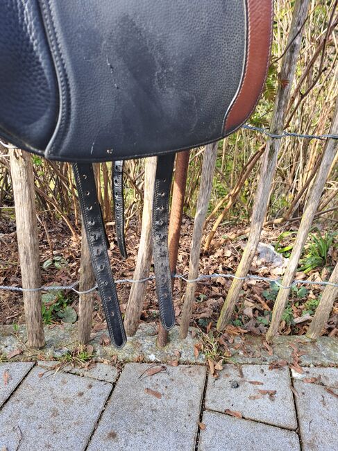 Butterfly Ute gräf, Butterfly  Ute Gräf, Jessica , Dressage Saddle, Ehrschwendt, Image 2