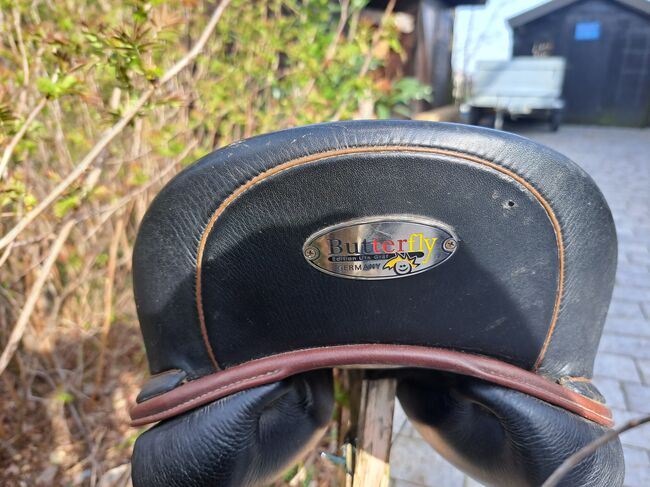Butterfly Ute gräf, Butterfly  Ute Gräf, Jessica , Dressage Saddle, Ehrschwendt, Image 4