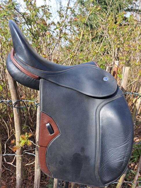 Butterfly Ute gräf, Butterfly  Ute Gräf, Jessica , Dressage Saddle, Ehrschwendt