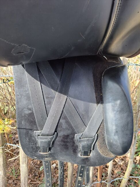 Butterfly Ute gräf, Butterfly  Ute Gräf, Jessica , Dressage Saddle, Ehrschwendt, Image 5