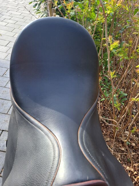 Butterfly Ute gräf, Butterfly  Ute Gräf, Jessica , Dressage Saddle, Ehrschwendt, Image 6