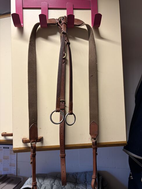 Vorderzeug Braun WB, Vorderzeug , Julia , Saddle Accessories, Gardelegen