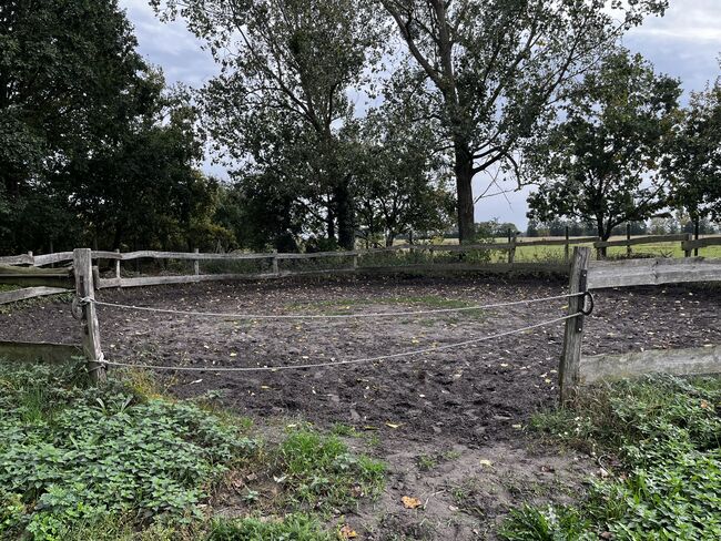 Vollpension für Stuten und Wallache, Box mit täglichen Ausgang, Anna Maria Pludra, Horse & Stable Mats, Wustermark, Image 5