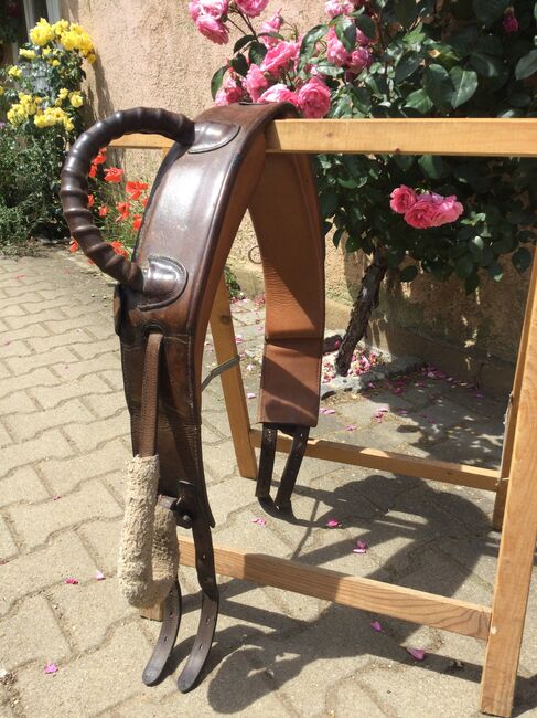 Voltigiergurt braun, Hanka, Longieren, Forchheim