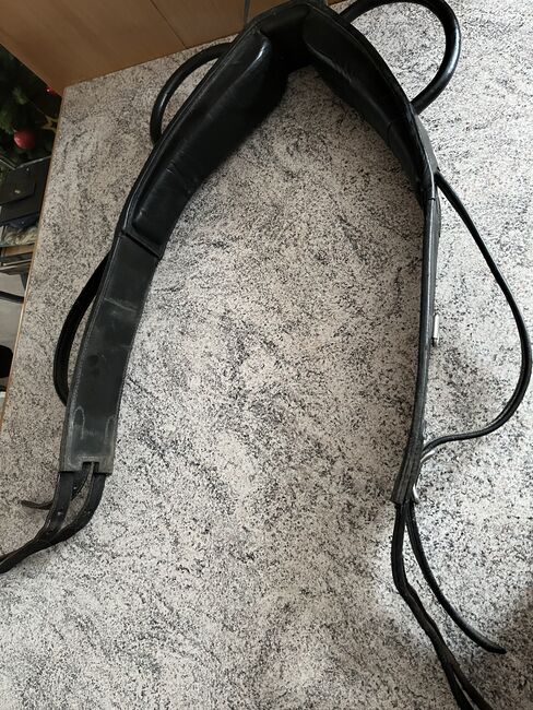 Voltigiergurt WB, Voltigiergurt, Uli, Longieren, Velden