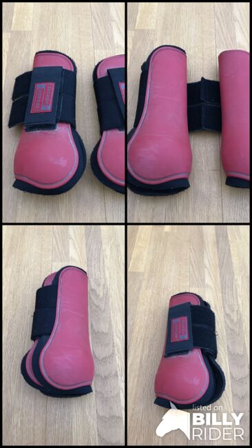 For Horses Gamaschen, For Horses Gamaschen, Samantha, Tendon Boots, Dinklage, Image 5