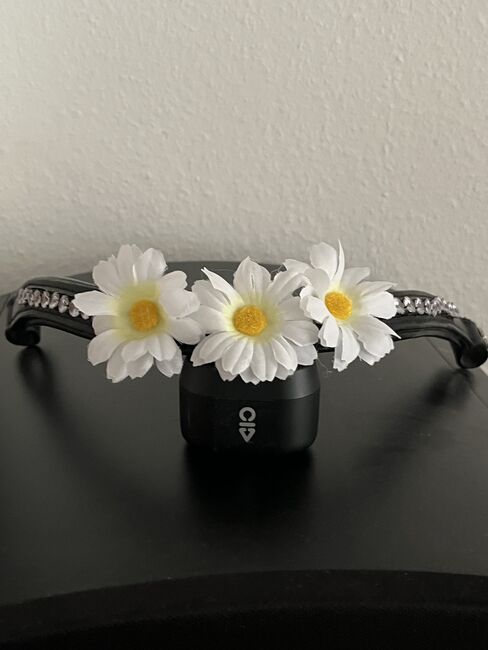 Stirnriemen mit Glitzer und Blümchen, Annika Schulte, Browbands, Lüdenscheid