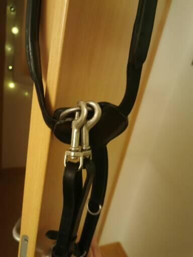 Vorderzeug Comfort Warmblut schwarz, Loesdau  Vorderzeug Comfort, Lisa Marie Grauer , Sattelzubehör, Großen-Linden, Abbildung 5