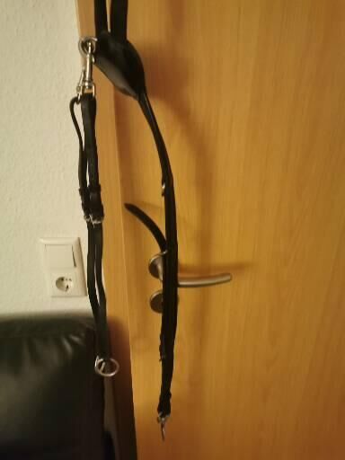 Vorderzeug Comfort Warmblut schwarz, Loesdau  Vorderzeug Comfort, Lisa Marie Grauer , Sattelzubehör, Großen-Linden, Abbildung 4