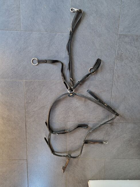 vorderzeug martingal springcombi prestige braun wb full, Prestige  Vorderzeug , K. Werner, Hilfszügel, Westerwalsede