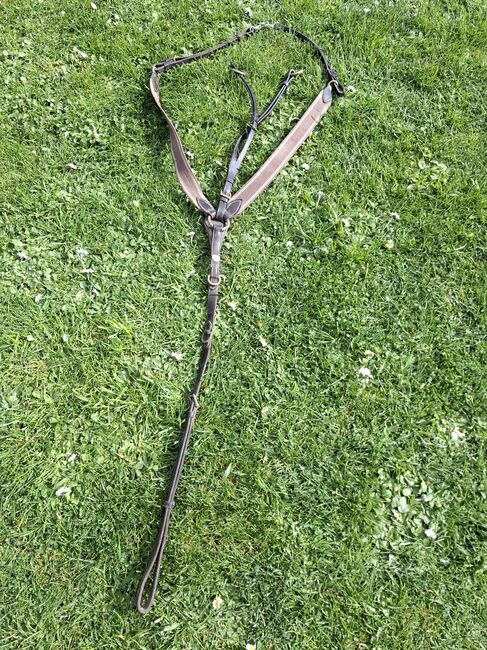 Vorderzeug wb, Prestige , Privat , Hilfszügel, Münzenberg 