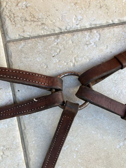 Vorderzeug Western Leder, Keine  Western, Verena 🐎 , Hilfszügel, Rhens, Abbildung 6