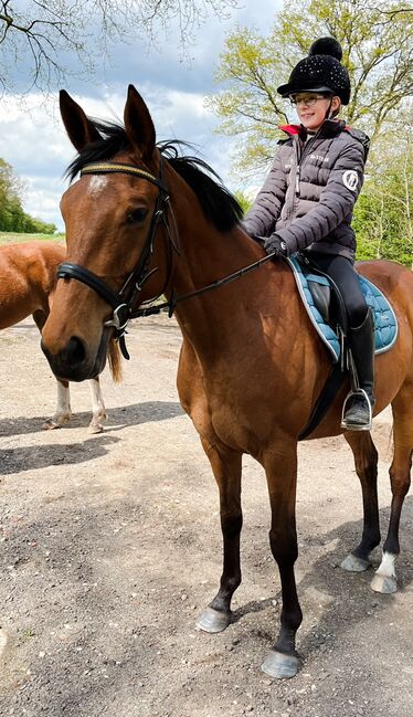 Freizeitstute, Meike , Horses For Sale, Ostrohe, Image 3