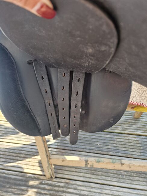 Freizeit Vs/ Spring Sattel Massimo Zeitler 17.5 31 kw, Massimo/Zeitler , Tanja Tofahrn , All Purpose Saddle, Wipperfürth , Image 3