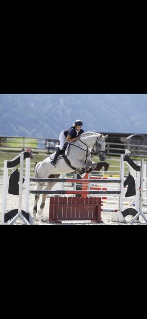 Freizeitpferd, Kristina Kmeth, Horses For Sale, Villach, Image 2