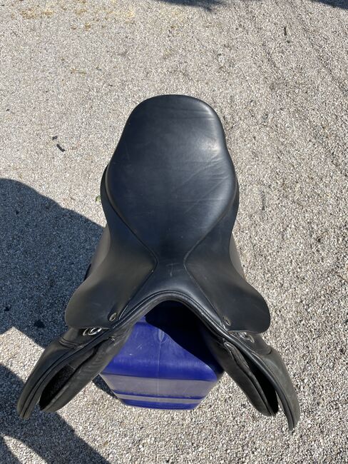 Verkaufe VS Busse Bristol 17, Busse  Bristol, Nicole Thiede, All Purpose Saddle, Miltzow, Image 6