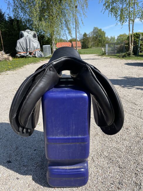 Verkaufe VS Busse Bristol 17, Busse  Bristol, Nicole Thiede, All Purpose Saddle, Miltzow, Image 5