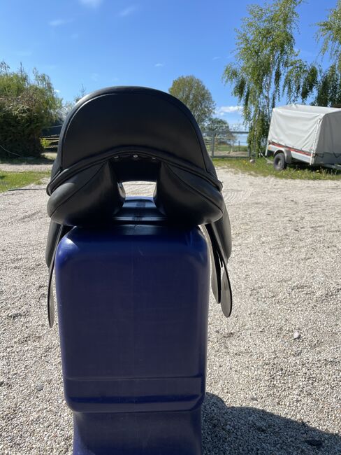 Verkaufe VS Busse Bristol 17, Busse  Bristol, Nicole Thiede, All Purpose Saddle, Miltzow, Image 7