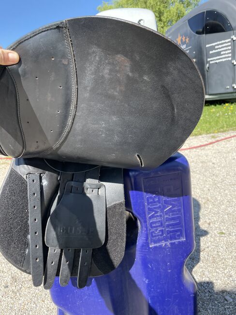 Verkaufe VS Busse Bristol 17, Busse  Bristol, Nicole Thiede, All Purpose Saddle, Miltzow, Image 3