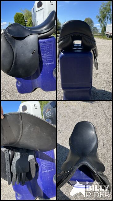 Verkaufe VS Busse Bristol 17, Busse  Bristol, Nicole Thiede, All Purpose Saddle, Miltzow, Image 10