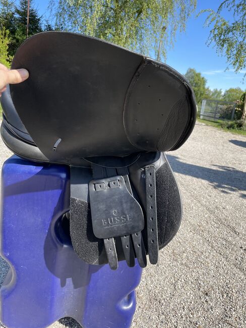Verkaufe VS Busse Bristol 17, Busse  Bristol, Nicole Thiede, All Purpose Saddle, Miltzow, Image 9
