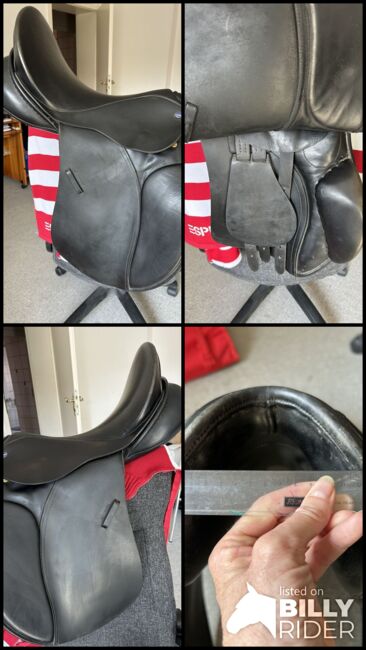 VS Euroriding Diamant, Euroriding  Diamant , Tatjana , All Purpose Saddle, Friedland , Image 6