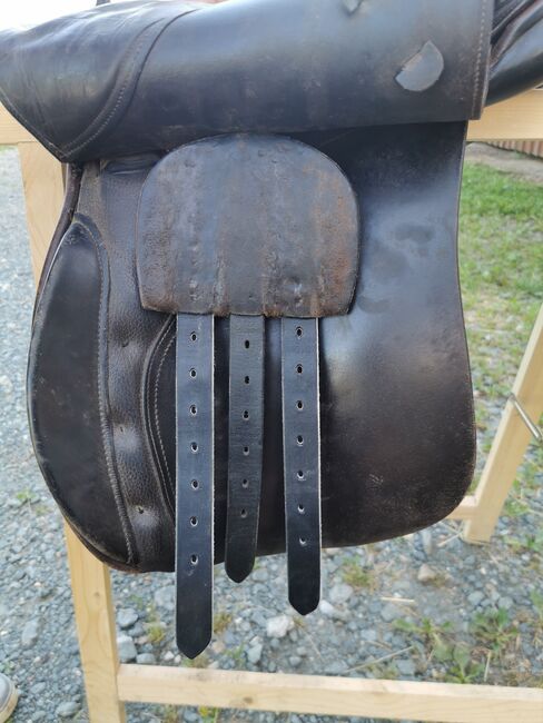 VS Kieffer Sattel, Kieffer VS Sattel, Marion Fischer, All Purpose Saddle, St. Johann im Saggautal, Image 4