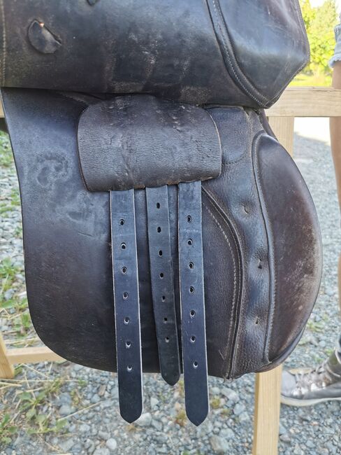 VS Kieffer Sattel, Kieffer VS Sattel, Marion Fischer, All Purpose Saddle, St. Johann im Saggautal, Image 7