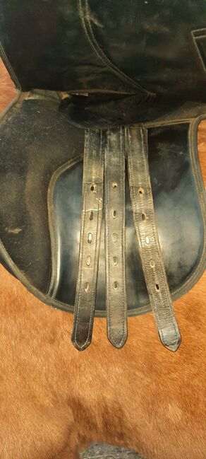 VS Sattel schwarz mit Schabracke und Sattelgurt, gebraucht, Claridge House, bonny, All Purpose Saddle, Korswandt, Image 7