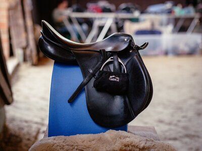 VS-Sattel Passier Neuwertig, Passier, Eva Winkler, All Purpose Saddle, Hamburg Eißendorf, Image 3