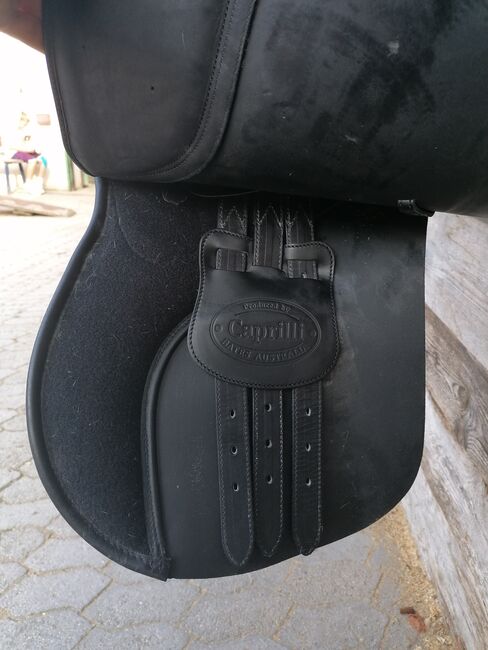 VS Sattel Bates Caprilli, Bates Caprilli , Anna , All Purpose Saddle, Oberwölbling , Image 2