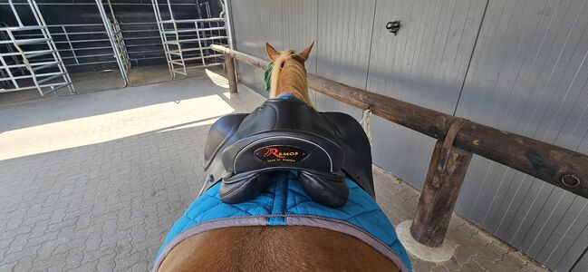 VS/Vielseitigkeits Sattel - Sommer Remos Modell Montana 17,5,  Sommer/Remos Montana, Mareen Blankenburg , All Purpose Saddle, Wedel, Image 4