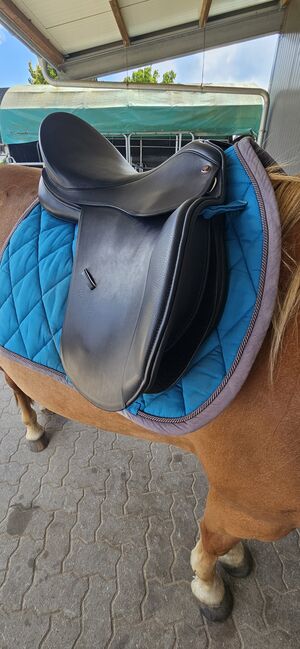 VS/Vielseitigkeits Sattel - Sommer Remos Modell Montana 17,5,  Sommer/Remos Montana, Mareen Blankenburg , All Purpose Saddle, Wedel, Image 7