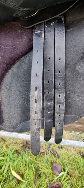 VS Wintec 2000, Wintec VS Wintec 2000, Claudia Hotter, All Purpose Saddle, Niederbreitenbach, Image 5