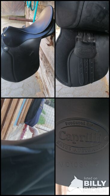 VS Sattel Bates Caprilli, Bates Caprilli , Anna , All Purpose Saddle, Oberwölbling , Image 7