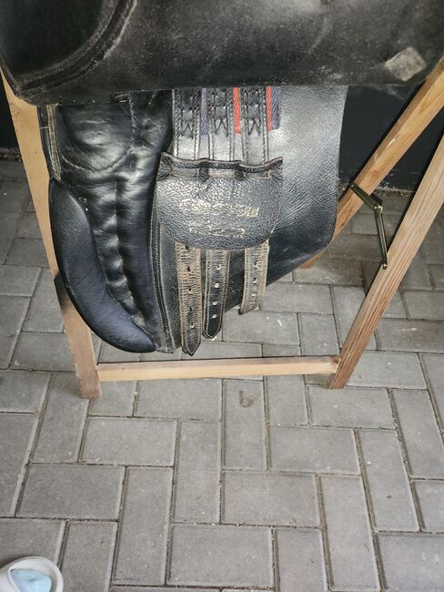 VS Sattel Wetzlar, Wetzlar , Lilly , All Purpose Saddle, Friedeburg , Image 5