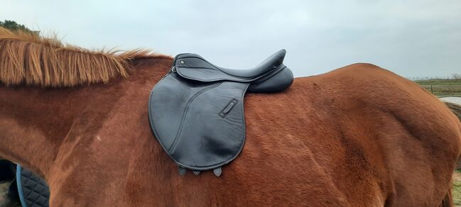 VS Sattel schwarz mit Schabracke und Sattelgurt, gebraucht, Claridge House, bonny, All Purpose Saddle, Korswandt, Image 2