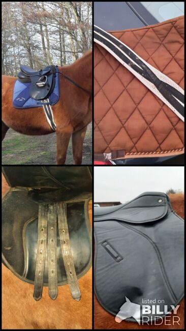 VS Sattel schwarz mit Schabracke und Sattelgurt, gebraucht, Claridge House, bonny, All Purpose Saddle, Korswandt, Image 9