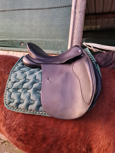 VSD dressursattel springsattel vielseitigkeistsattel, Jana Zapf, All Purpose Saddle, Herford, Image 7